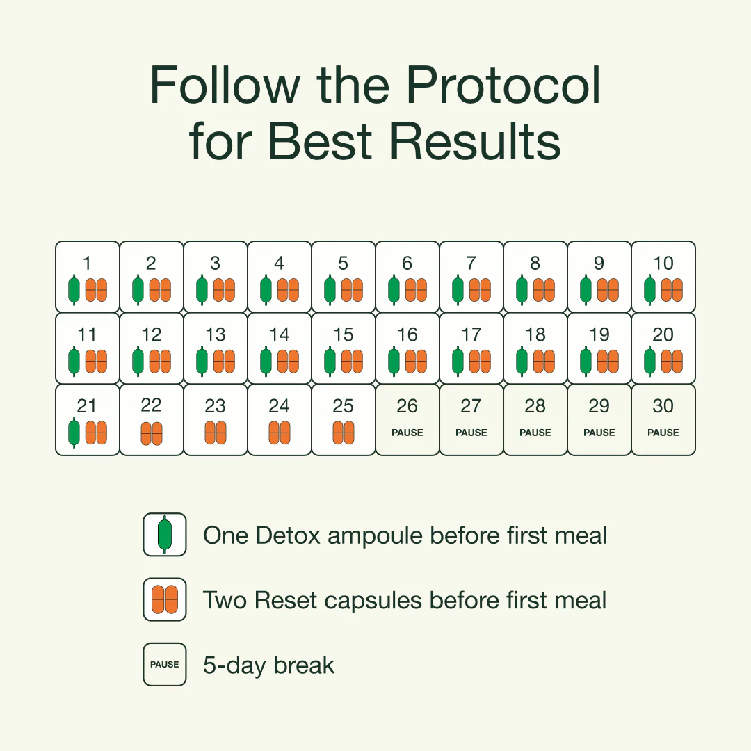 Fatty Liver Protocol - Image 3