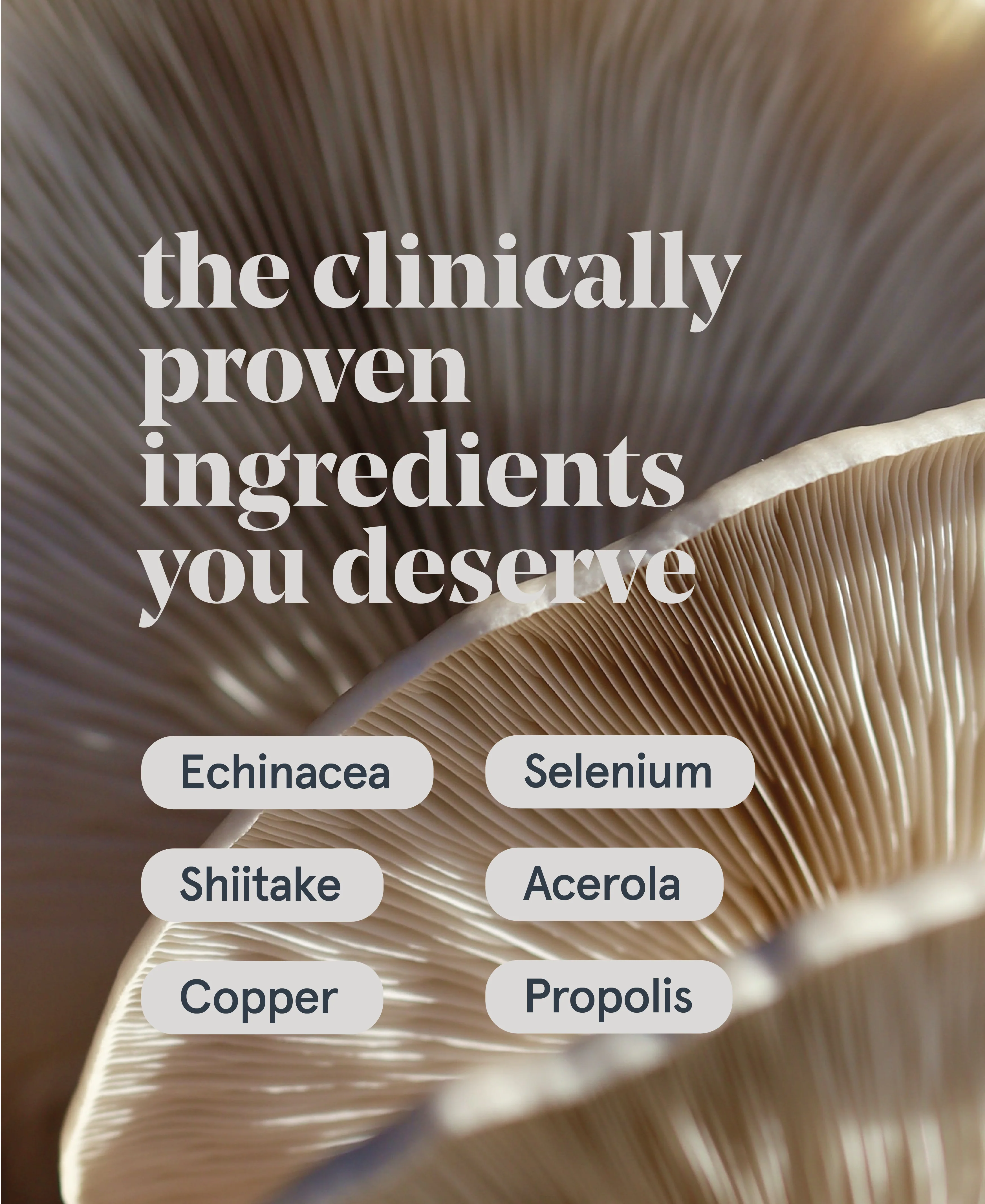 Immune Support - Image 5
